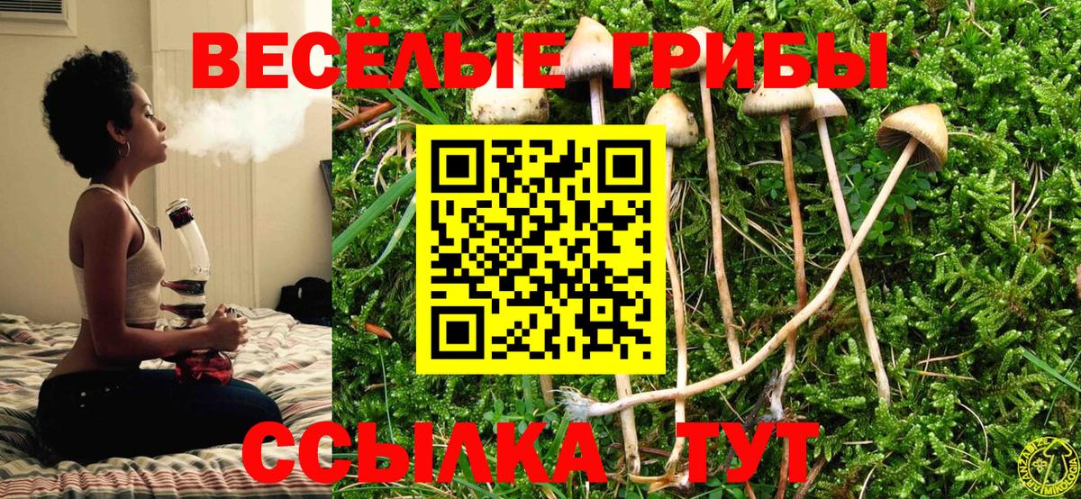  COCAIN Балтийск