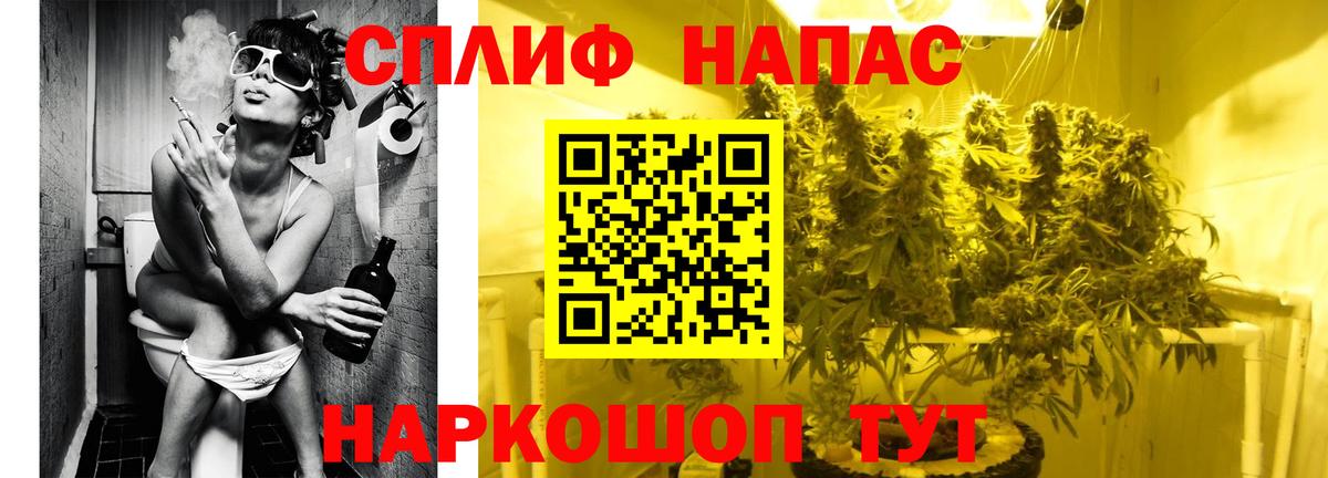 Конопля план Балтийск